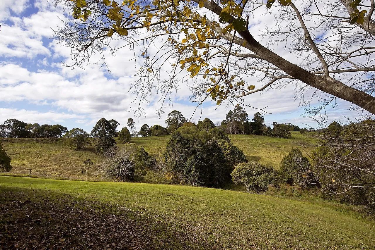 Jacaranda Cottages Witta Country house