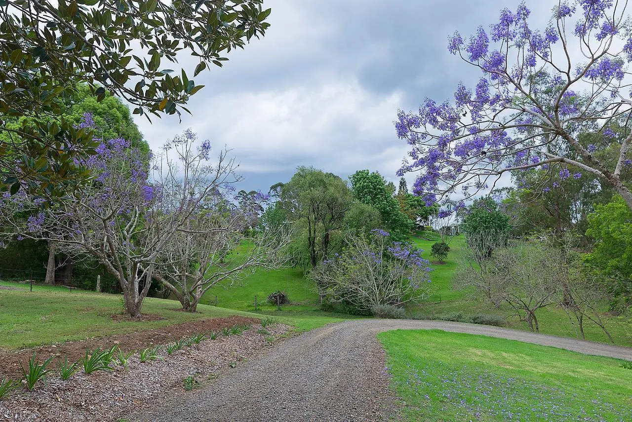 Jacaranda Cottages Witta